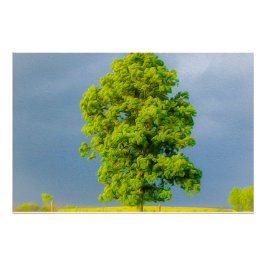 Schönheit im Sturm Poster