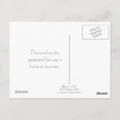 Schönheit im weißen Postkartenformat Postkarte (Rückseite)