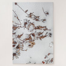 Schönheit im Winter - 1014 Stück