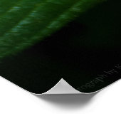 Schönheit in den Sternen Poster (Ecke)