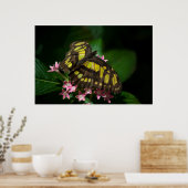 Schönheit in den Sternen Poster (Küche)