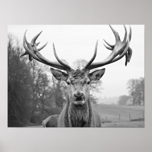 Schönheit in der Natur Poster (Vorne)