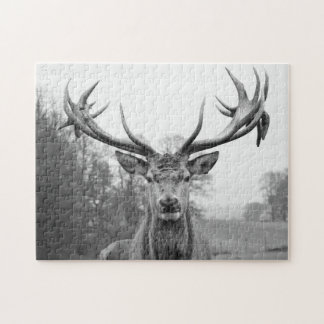 Schönheit in der Natur Puzzle