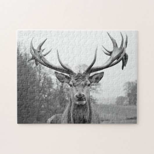 Schönheit in der Natur Puzzle (Horizontal)