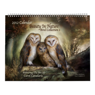 Schönheit in der Natur - Vogelsammlungskalender 20 Kalender