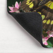 Schönheit in der Sternenmousepad Mousepad (Ecke)