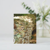 Schönheit in kleinen Dingen Postkarte (Stehend Vorderseite)