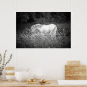 Schönheit in Schwarz und Weiß Poster (Küche)