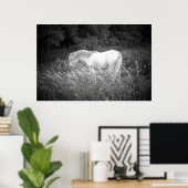 Schönheit in Schwarz und Weiß Poster (Heimbüro)