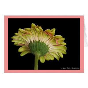 Schönheit innen und außen