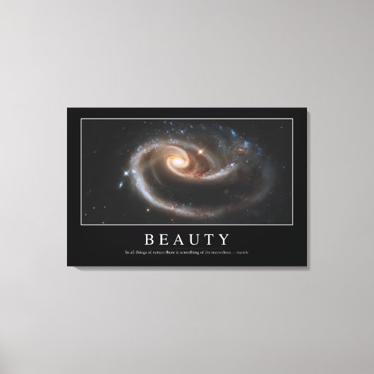 Schönheit: Inspiration 3 Leinwanddruck (Vorderseite)