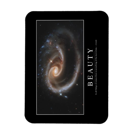 Schönheit: Inspiration 3 Magnet (Vertikal)