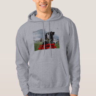 Schönheit ist APBT Hoodie