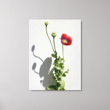 Schönheit ist auch die Bestie.