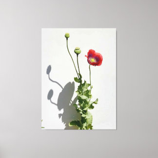 Schönheit ist auch die Bestie. Leinwanddruck