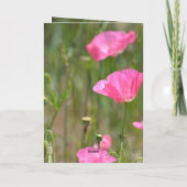 Schönheit ist Mohnblume (Fotografie von mir) Karte (Rückseite)