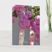 Schönheit ist Rosen Zaun (Fotografie von mir) Karte (Rückseite)