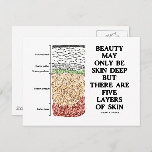 Schönheit kann tief sein, aber fünf Hautschichten Postkarte (Vorne/Hinten)