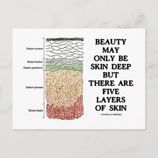 Schönheit kann tief sein, aber fünf Hautschichten Postkarte (Vorderseite)