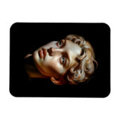 Schönheit Magnet (Horizontal)