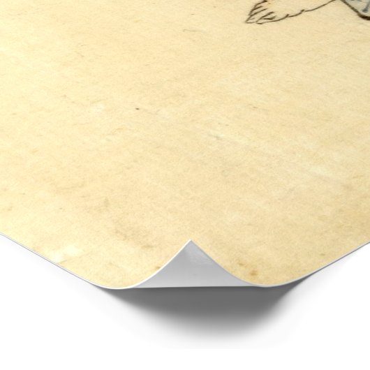 Schönheit mit Fan 1840 Poster (Ecke)