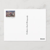 Schönheit Nebraska Postkarte (Rückseite)