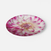 Schönheit Pappteller (Schrägansicht)