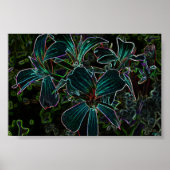 Schönheit Poster (Vorne)