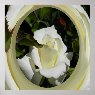 Schönheit...... Poster