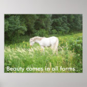 Schönheit Poster (Vorne)