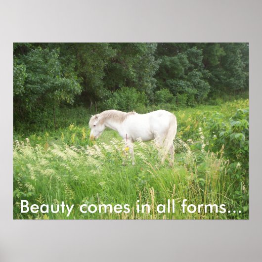 Schönheit Poster (Vorne)