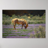 Schönheit Poster (Vorne)