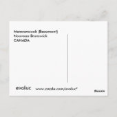 Schönheit Postkarte (Rückseite)