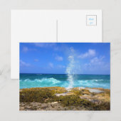 Schönheit Postkarte (Vorne/Hinten)