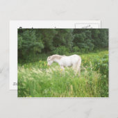 Schönheit Postkarte (Vorne/Hinten)