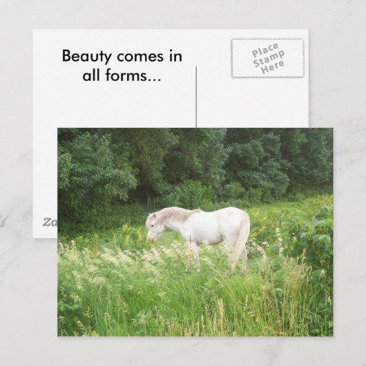 Schönheit Postkarte (Vorne/Hinten)