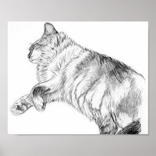 Schönheit schlafen poster (Vorne)