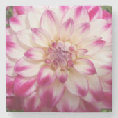 Schönheit Steinuntersetzer (Vorderseite)