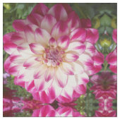 Schönheit Stoff (Nahaufnahme)