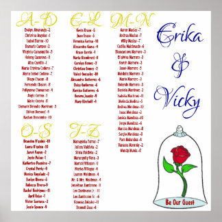 Schönheit und das Bestickungsdiagramm Poster