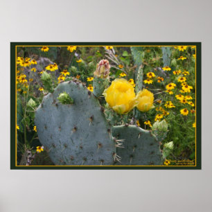 Schönheit und das Tier Poster