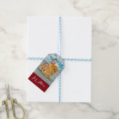 Schönheit und Löwen Geschenkanhänger (Mit Garn)