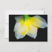 Schönheit unter dankeskarte (Vorderseite)