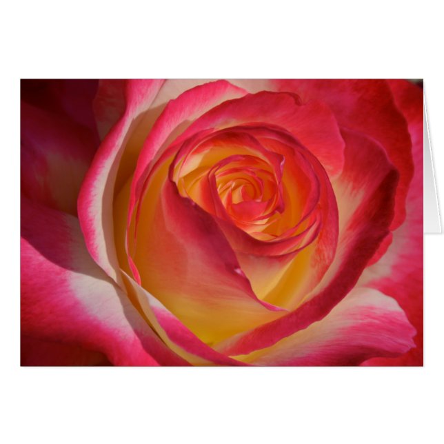 Schönheit von innen (Vorderseite (Horizontal))