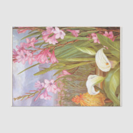 Schönheiten der Sümpfe, Südafrika nach Norden Seidenpapier