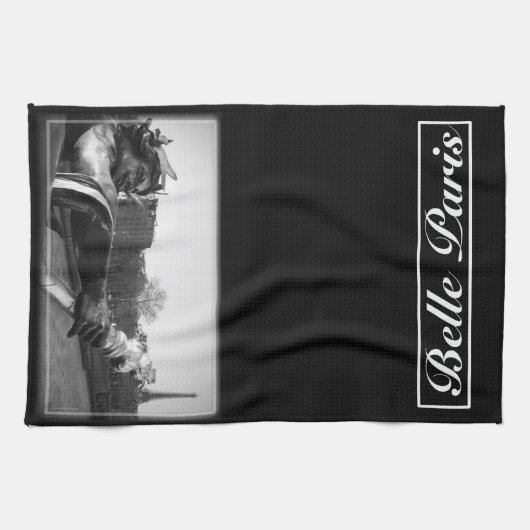 Schönheits-Paris-Geschirrtuch Geschirrtuch (Horizontal)