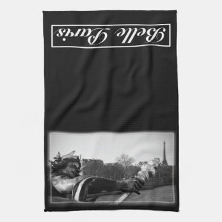 Schönheits-Paris-Geschirrtuch Geschirrtuch