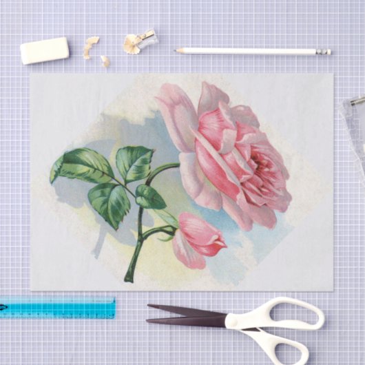 Schönheits-Rosen-Rosa auf grauem Seidenpapier (Handwerk)