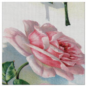 Schönheits-Rosen-Rosa auf grauem Stoff (Nahaufnahme)