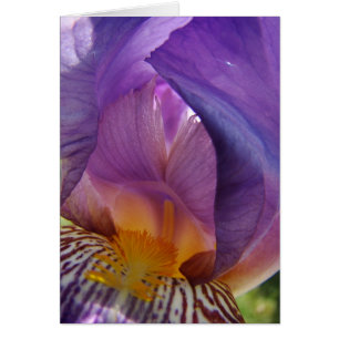 Schönheitsabweichung